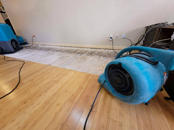Professional Basement Flood Cleanup technician working in West Friendship, MD